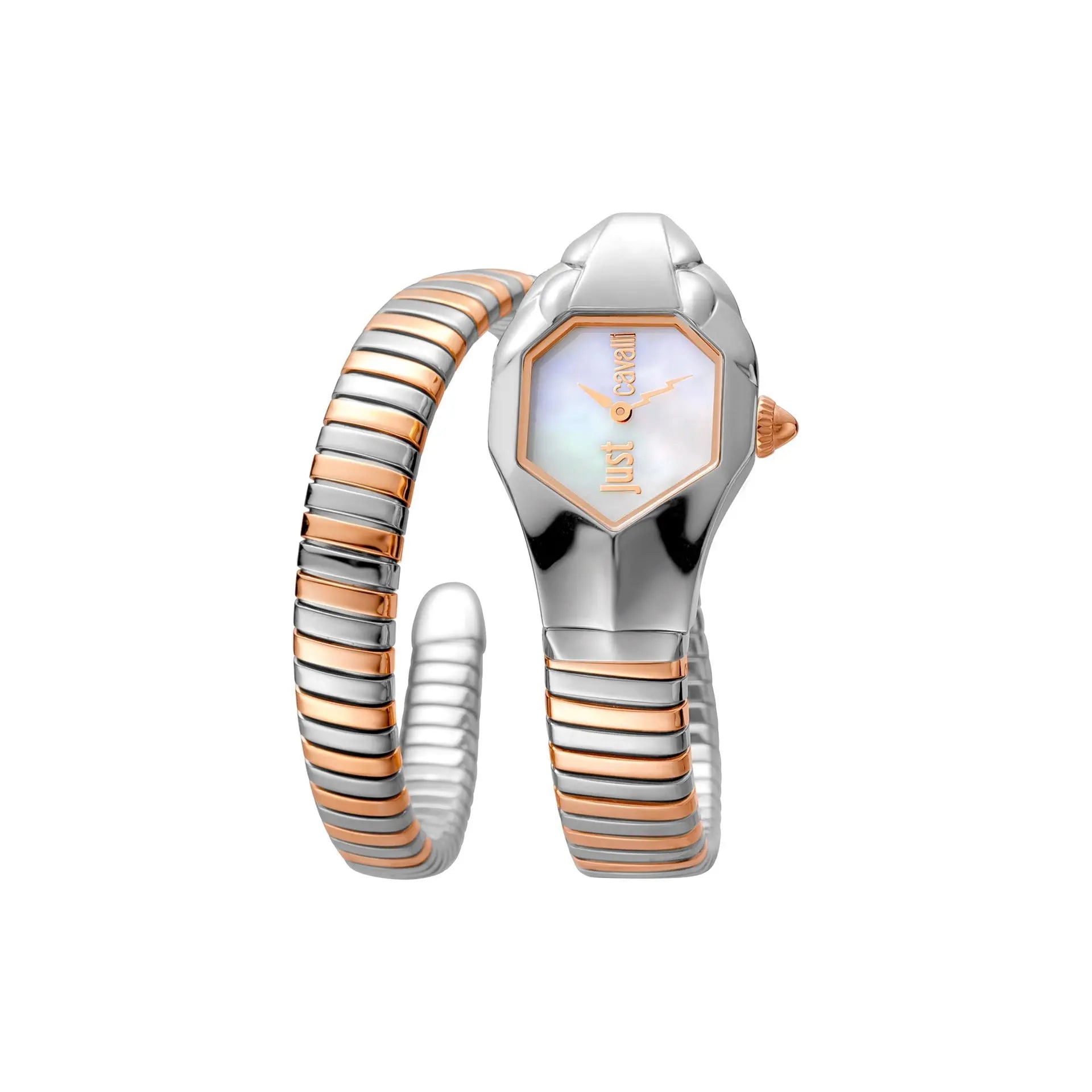 Just Cavalli Montres Just Cavalli