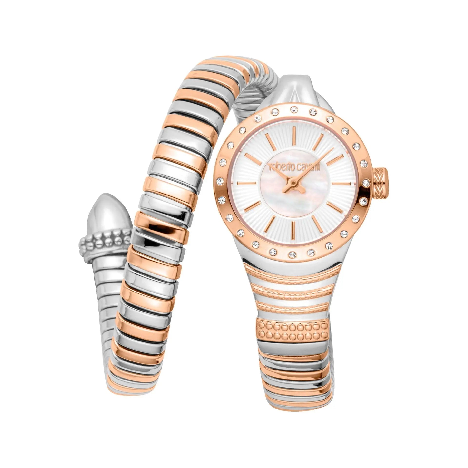 Roberto Cavalli Montres Roberto Cavalli