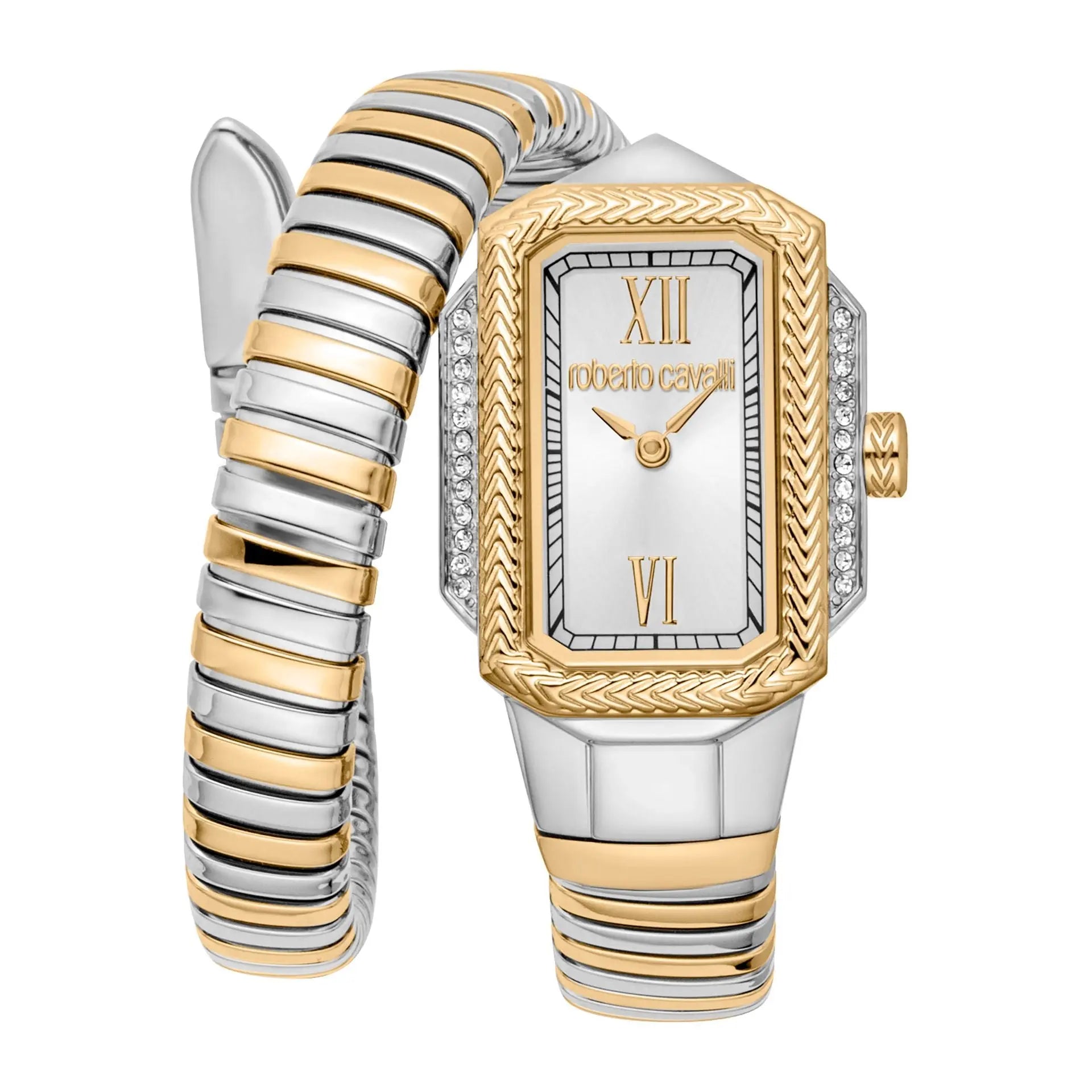 Roberto Cavalli Montres Roberto Cavalli
